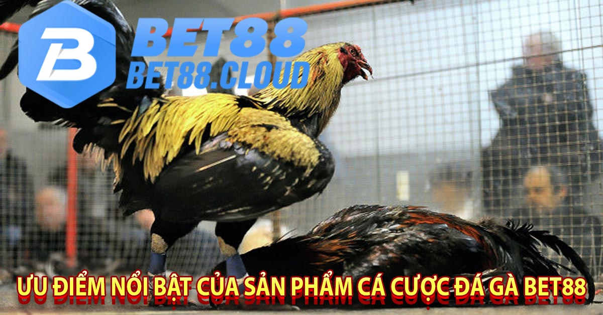 Ưu điểm nổi bật của sản phẩm cá cược đá gà bet88